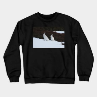 Winter coats Crewneck Sweatshirt